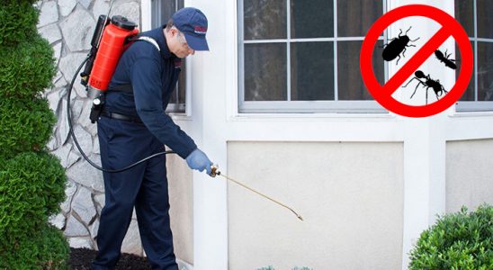 Çiçekdağı Bit İlaçlama böcek ilaçlama ve haşere kontrolü — ilaclama-tr.com